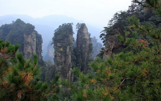 Zone panoramique de Yuanjiajie