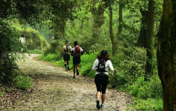 Sendero escénico Jiuxi