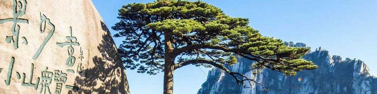 City plan Guangzhou China 17 AI ENG