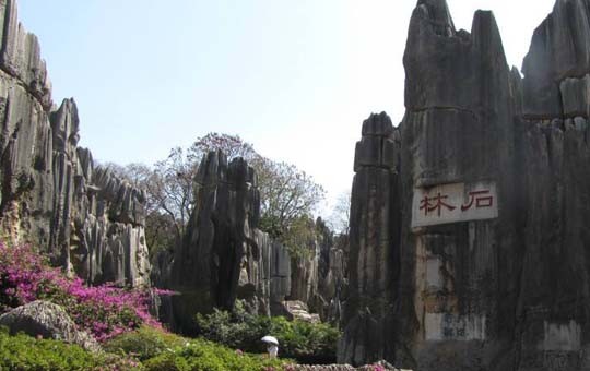 Yunnan Stone Forest Geological Park