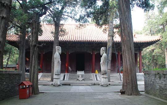 Qufu Kong Forest