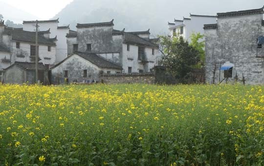 Wuyuan Ancient Villages and Countryside