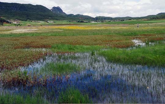 Wenhai Lake