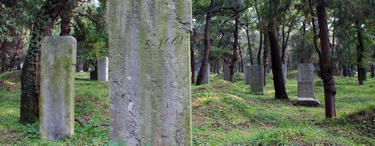 Confucius Forest