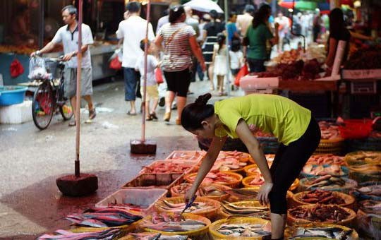 The Eighth Seafood Market