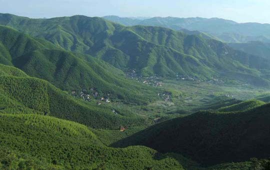 Mogan Mountain Scenic Area