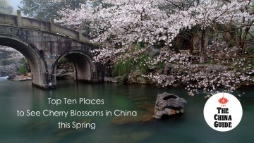 Top Ten Places to See Cherry Blossoms in China this Spring