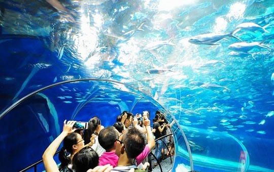 Shanghai Ocean Aquarium