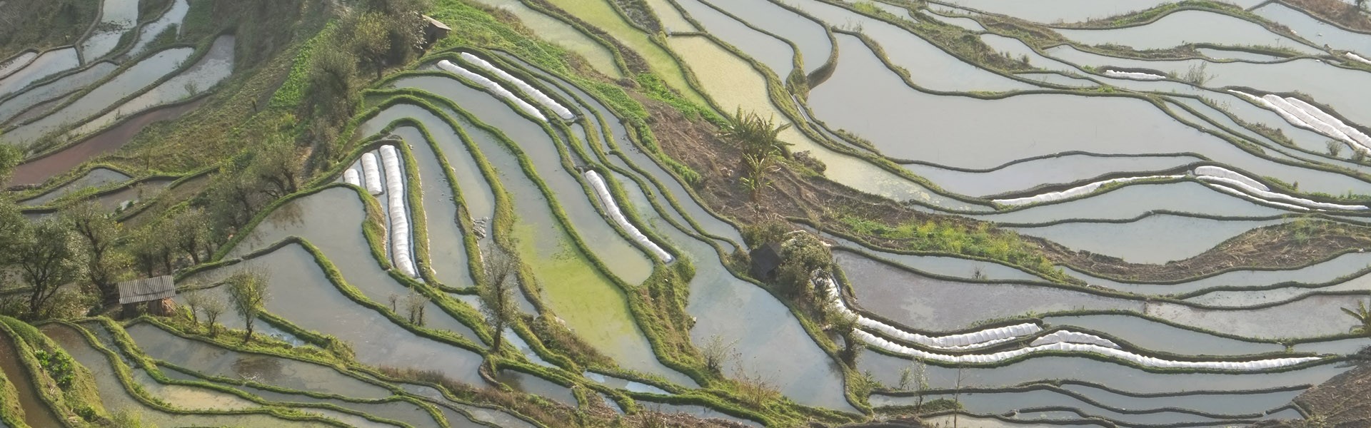 YuanyangRiceTerraces'1920x600'1