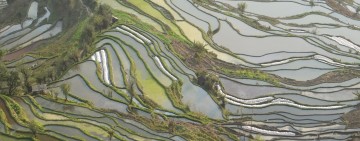 Terrazas de Arroz Hani de Yuanyang