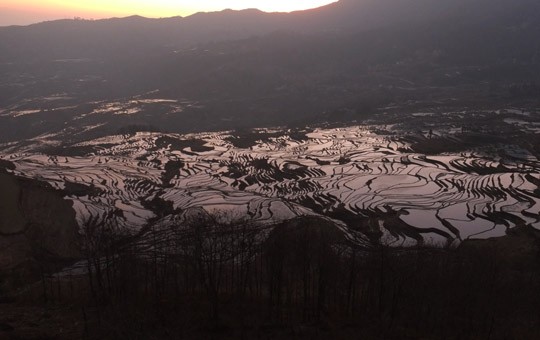 LaohuzuiRiceTerraces'540x340'1