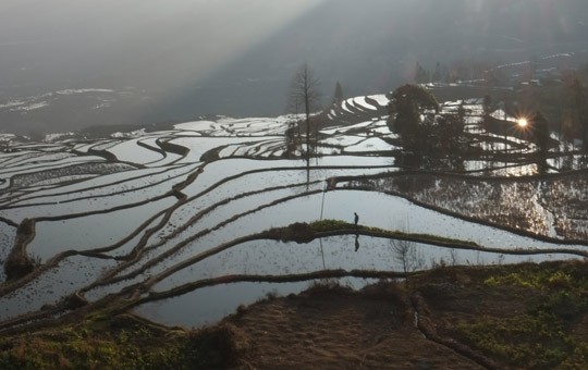 Terrazas de arroz Hani de Yuanyang