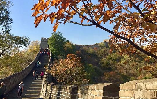 The Great Wall in Autumn