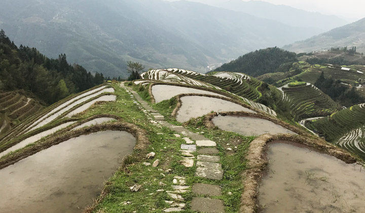 Longji Rice Terraces(Ping'an village)