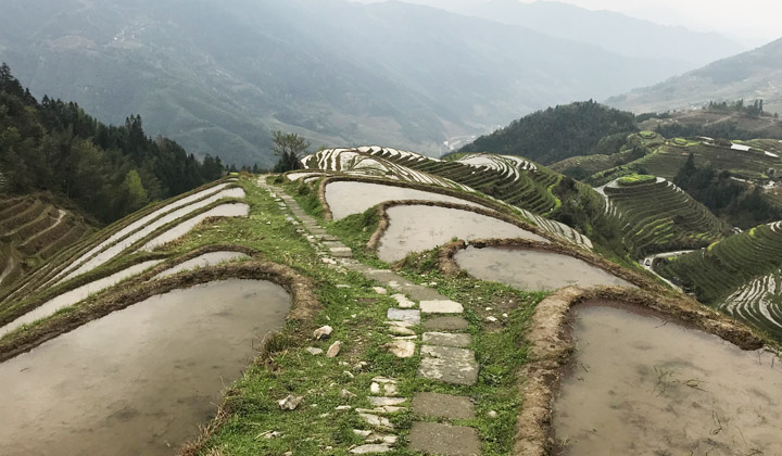 Hiking along the Drangon's Spine (Ping'an village)