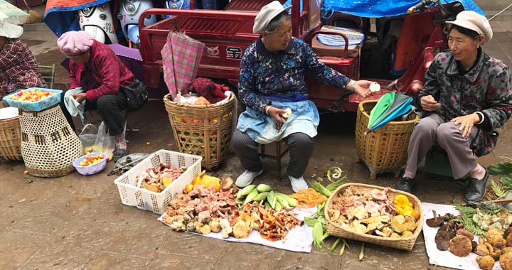 Local people selling mushrooms picked from the surrounding mountains