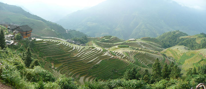 longji rice terraces