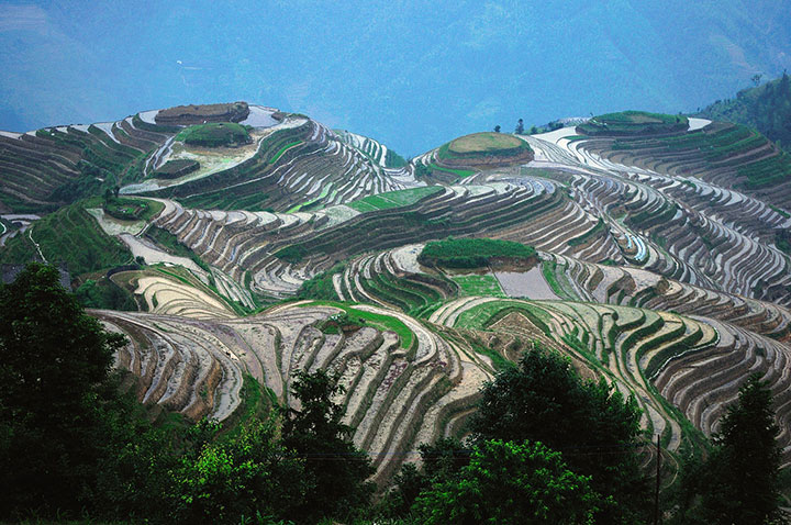 longji rice terraces