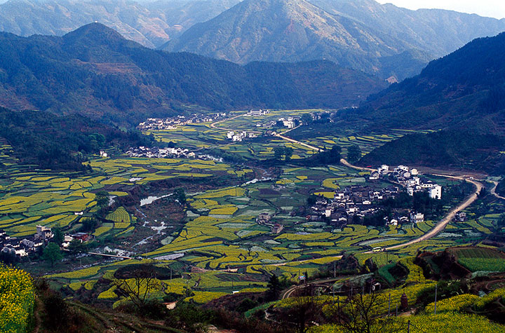 wuyuan