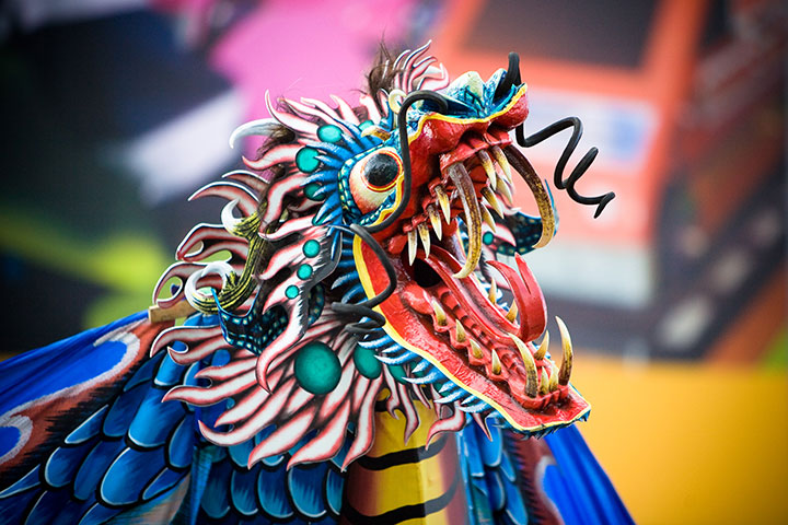 dragon boat detail