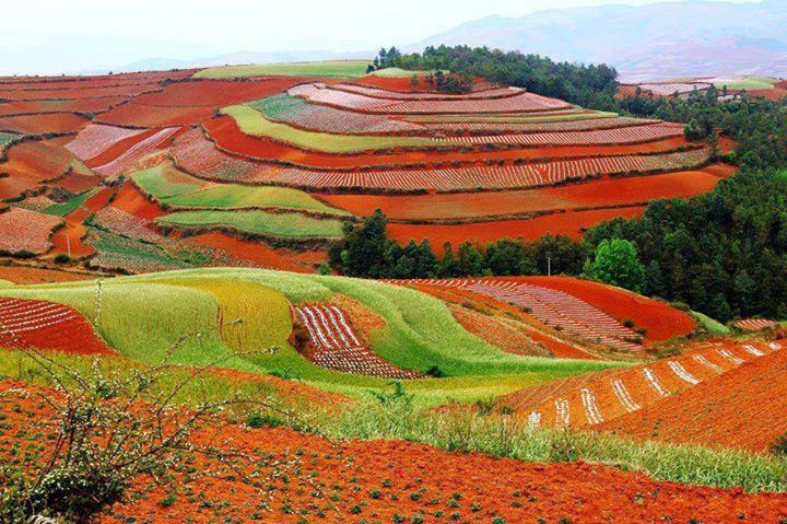 dongchuan red land