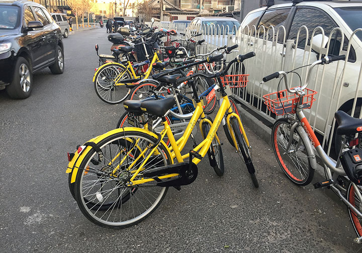 mobike ofo bluegogo