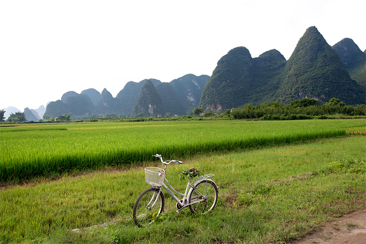 cycling in yangshuo