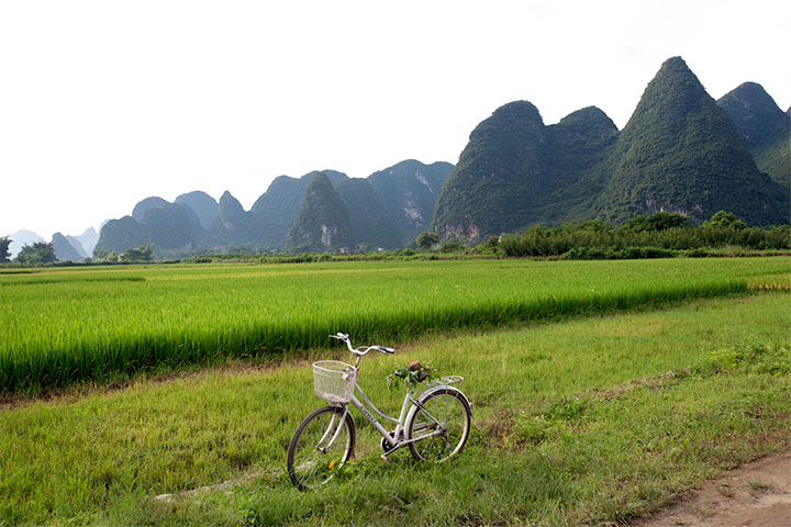 cycling in yangshuo